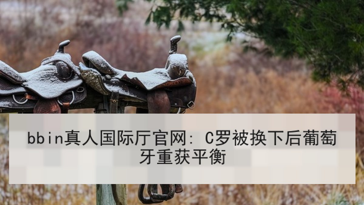 bbin真人国际厅官网: C罗被换下后葡萄牙重获平衡