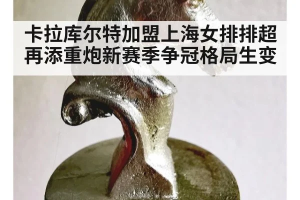 卡拉库尔特加盟上海女排排超再添重炮新赛季争冠格局生变